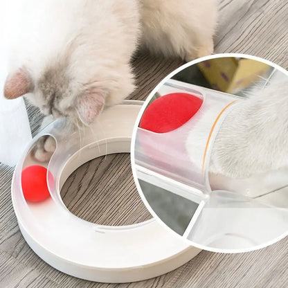 Cat Tunnel Funny Cat Fun