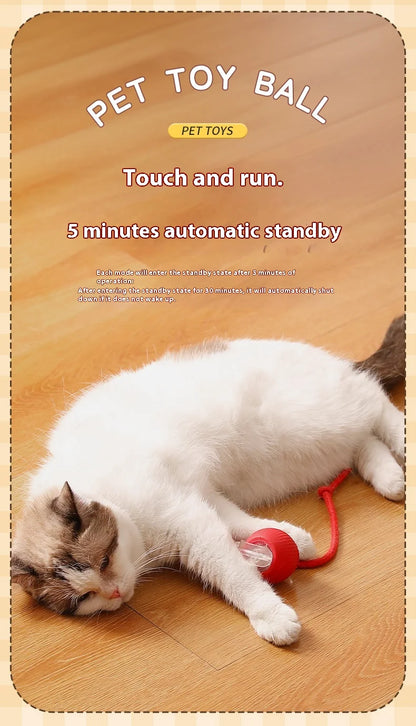 Interactive Electric Ball Cat Toy