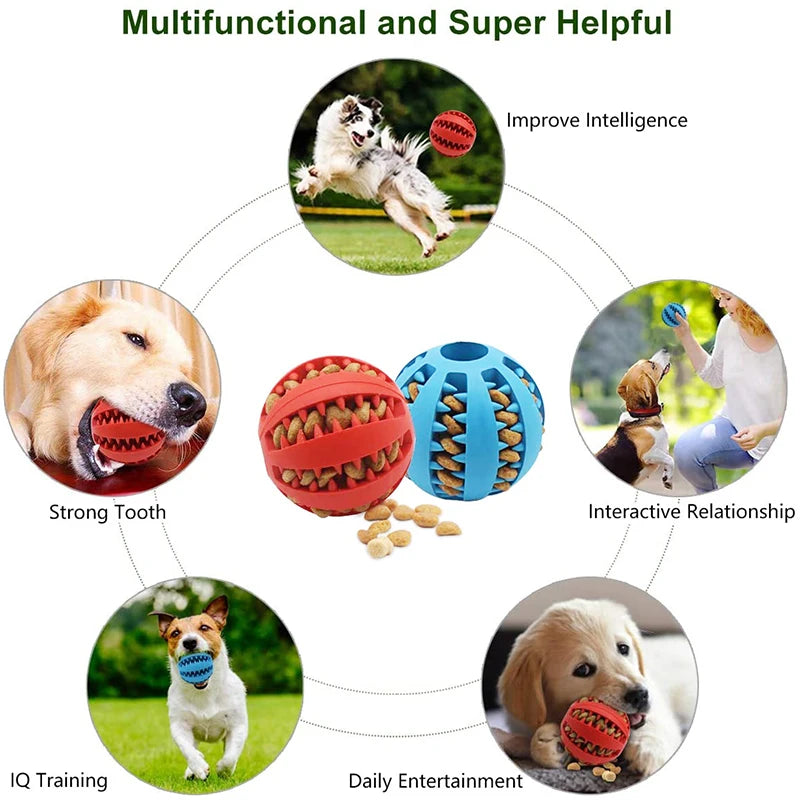 Durable Dog Chew Toy