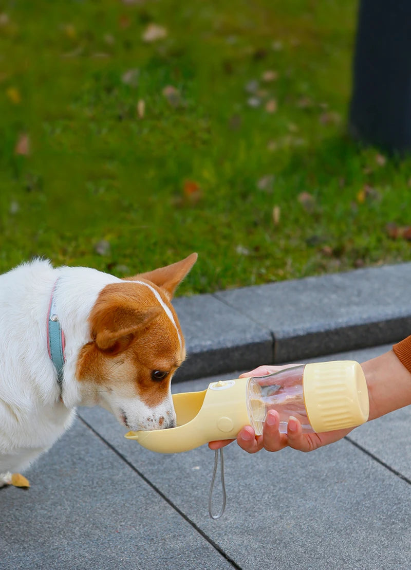 2‑in‑1 Portable Dog Water Bottle