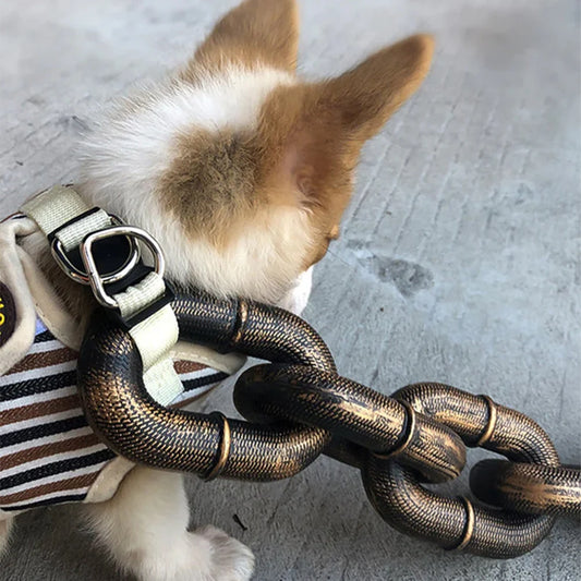 Halloween Plastic Heavy-Duty Chain Dog Leash - 4.9ft long
