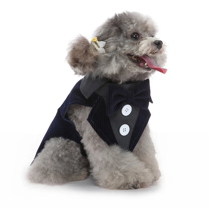 Dog Tuxedo Halloween Costume