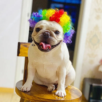 Funny Karen Wig for Dogs – Hilarious Halloween Costume