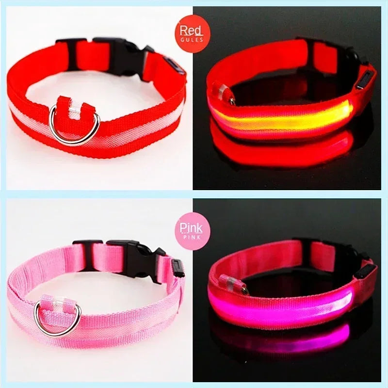 USB-Rechargeable LED Safety Collar