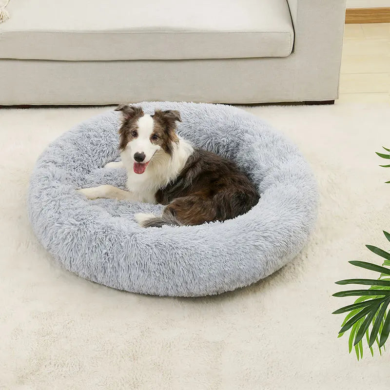 Soft Dog Beds House Soft