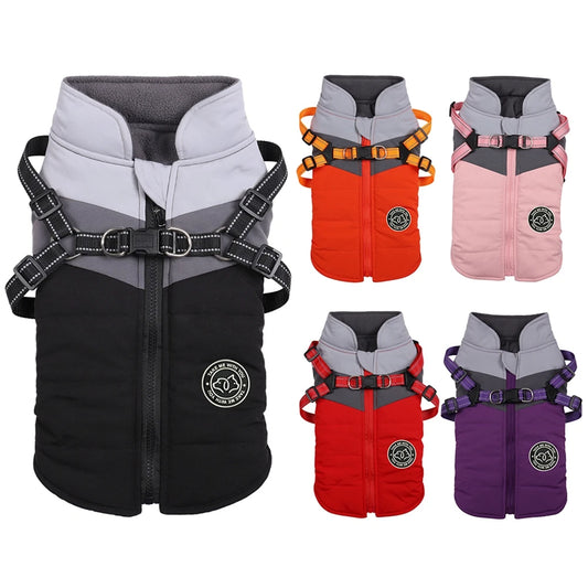 Winter Dog Jacket