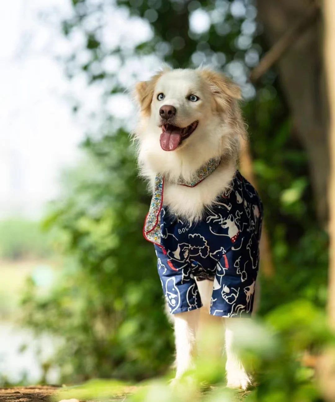Summer Breathable Pet Shirt Dog