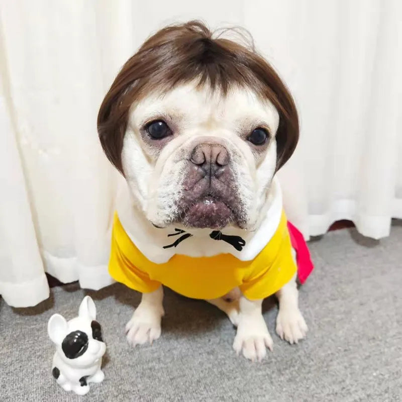 Funny Karen Wig for Dogs – Hilarious Halloween Costume