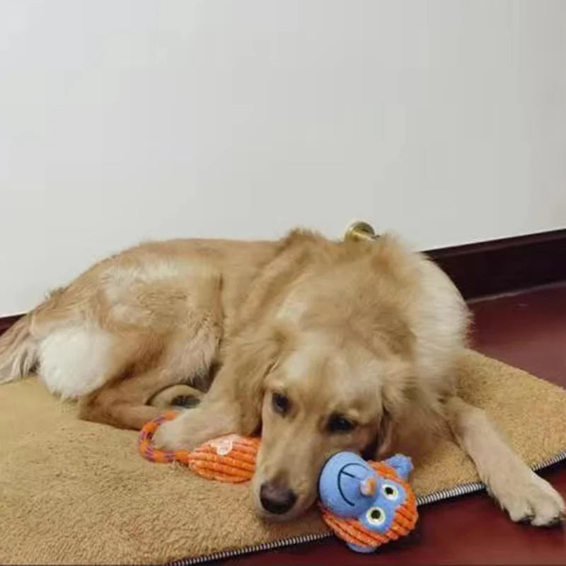 Dog Chew Toy with Handle