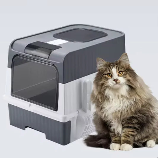 Cat Litter Box with Scoop