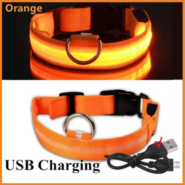 USB-Rechargeable LED Safety Collar