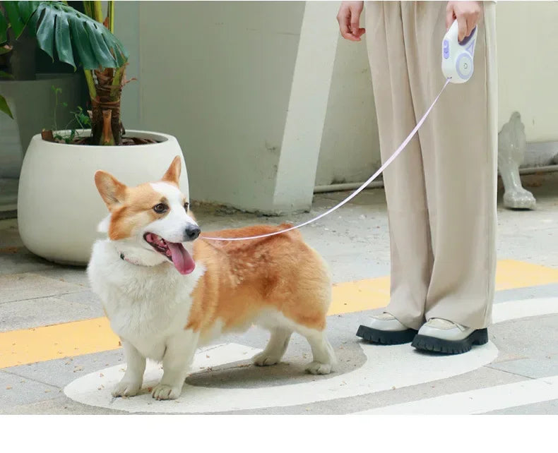 Retractable LED Leash for Small and Medium Dogs
