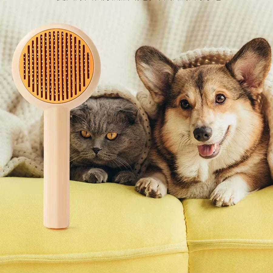 Cat Brush Pet Grooming Brush