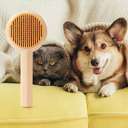 Cat Brush Pet Grooming Brush