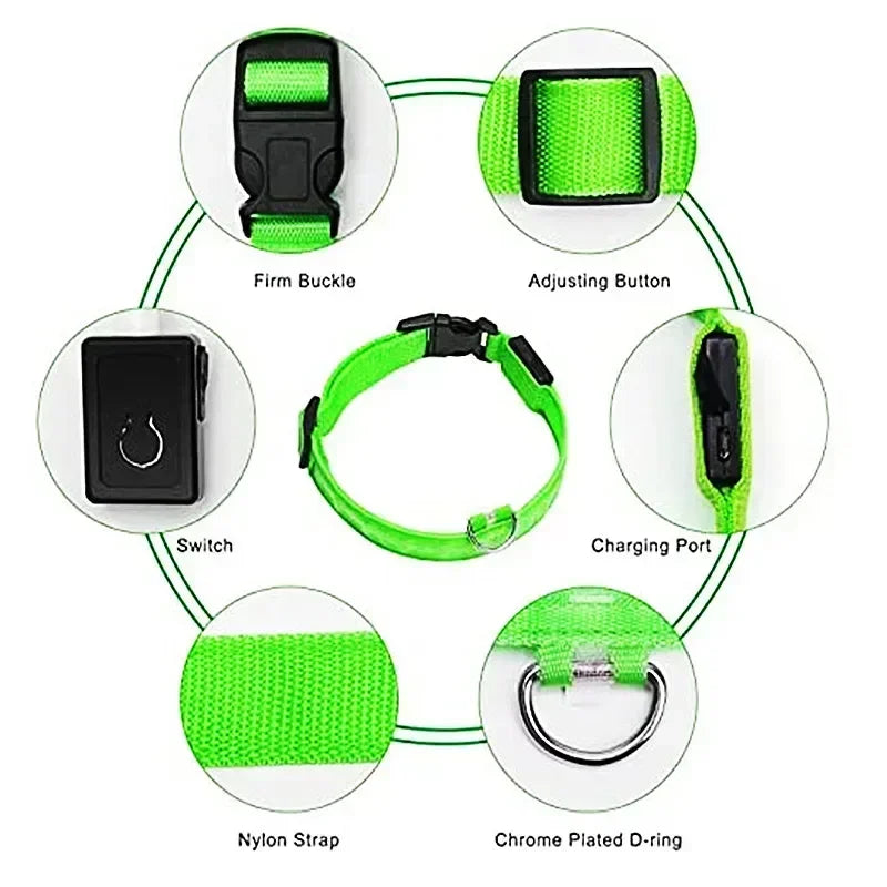 USB-Rechargeable LED Safety Collar