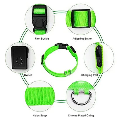 USB-Rechargeable LED Safety Collar
