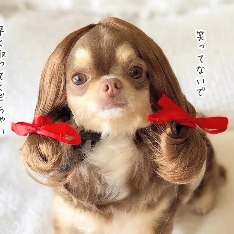 Funny Karen Wig for Dogs – Hilarious Halloween Costume