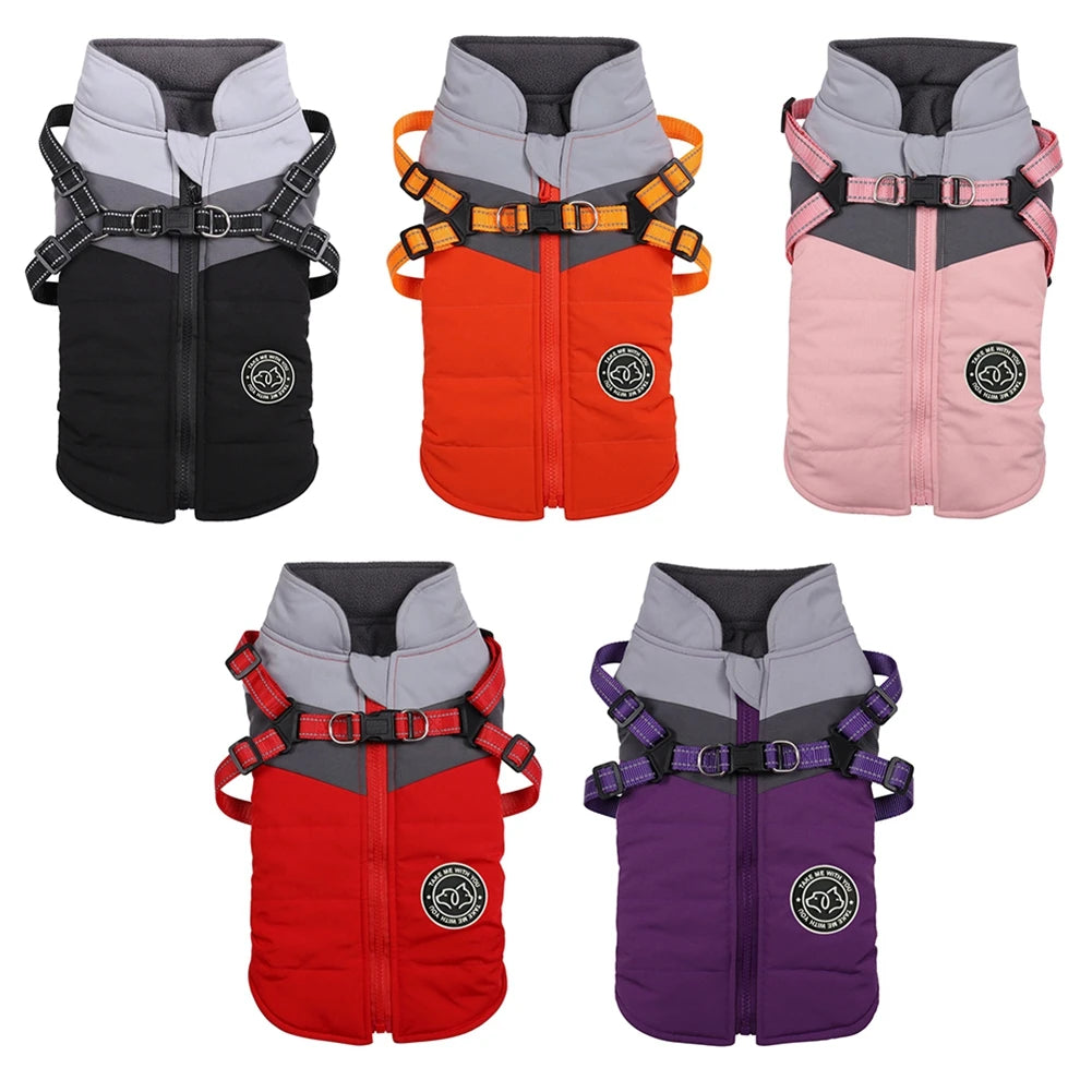 Winter Dog Jacket