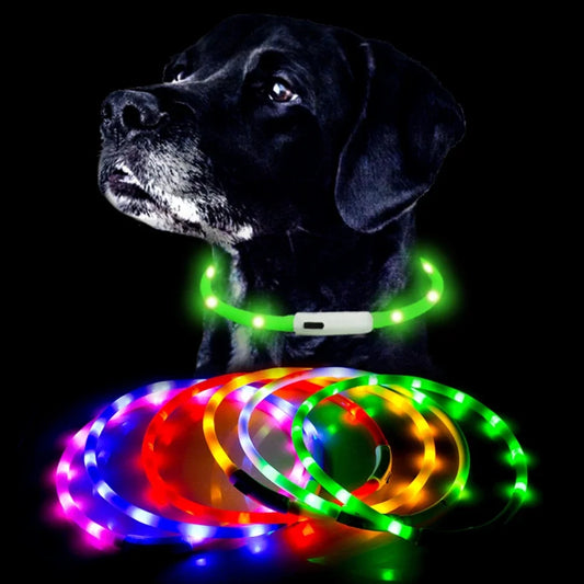 Led Glowing Dog Collar Pet