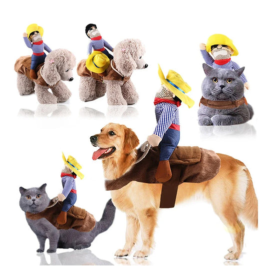 Cowboy riding Dog Halloween Costume