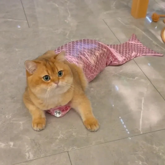 Mermaid Cat/Dog Halloween Costume