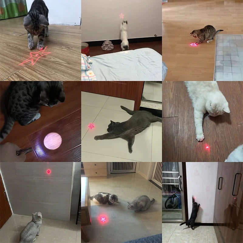 3 In 1 Cat Playing