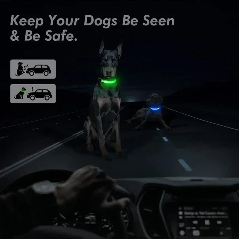 USB-Rechargeable LED Safety Collar