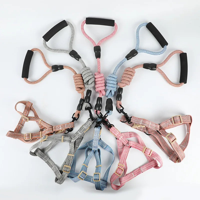Dog Harness, Leash & Bow Set
