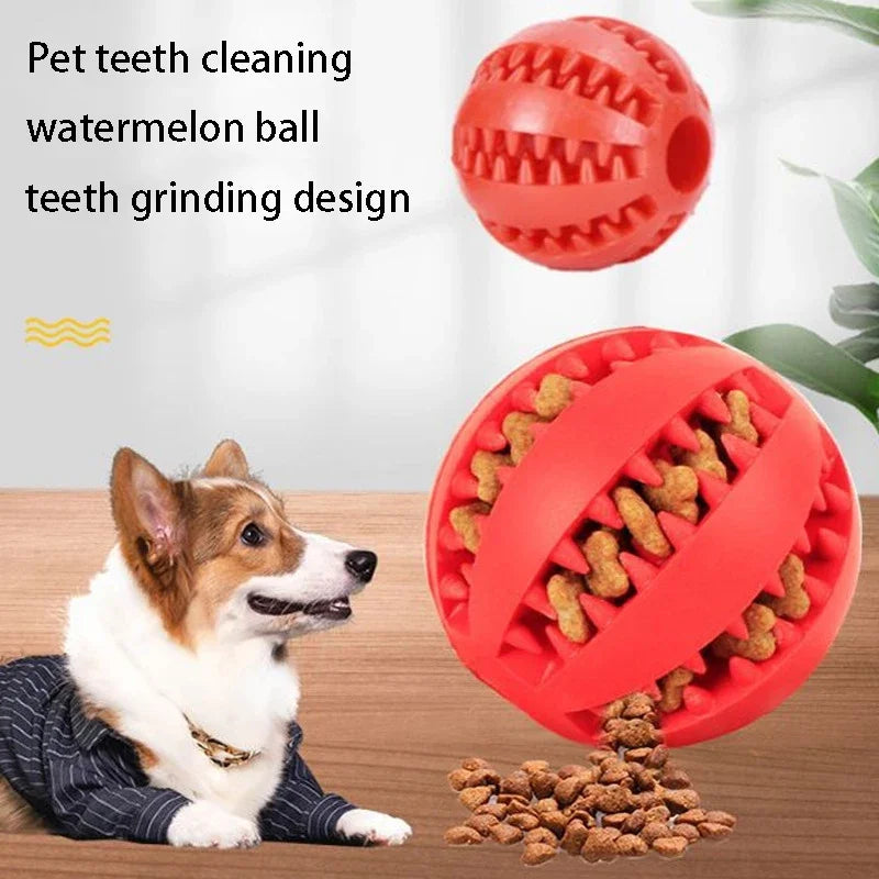Durable Dog Chew Toy