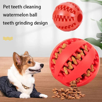 Durable Dog Chew Toy