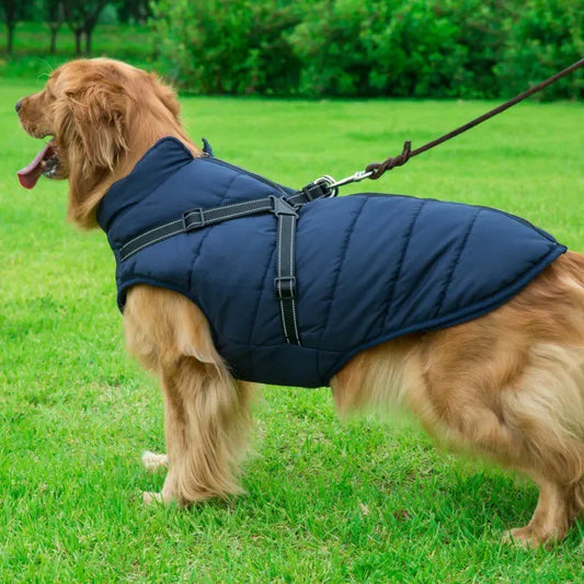 Winter Dog Jacket