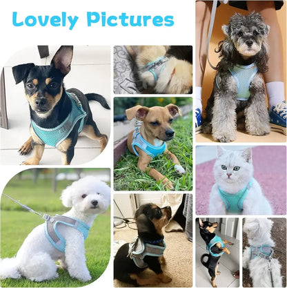 Escape-Proof Dog Harness and Leash Set for Small Dogs