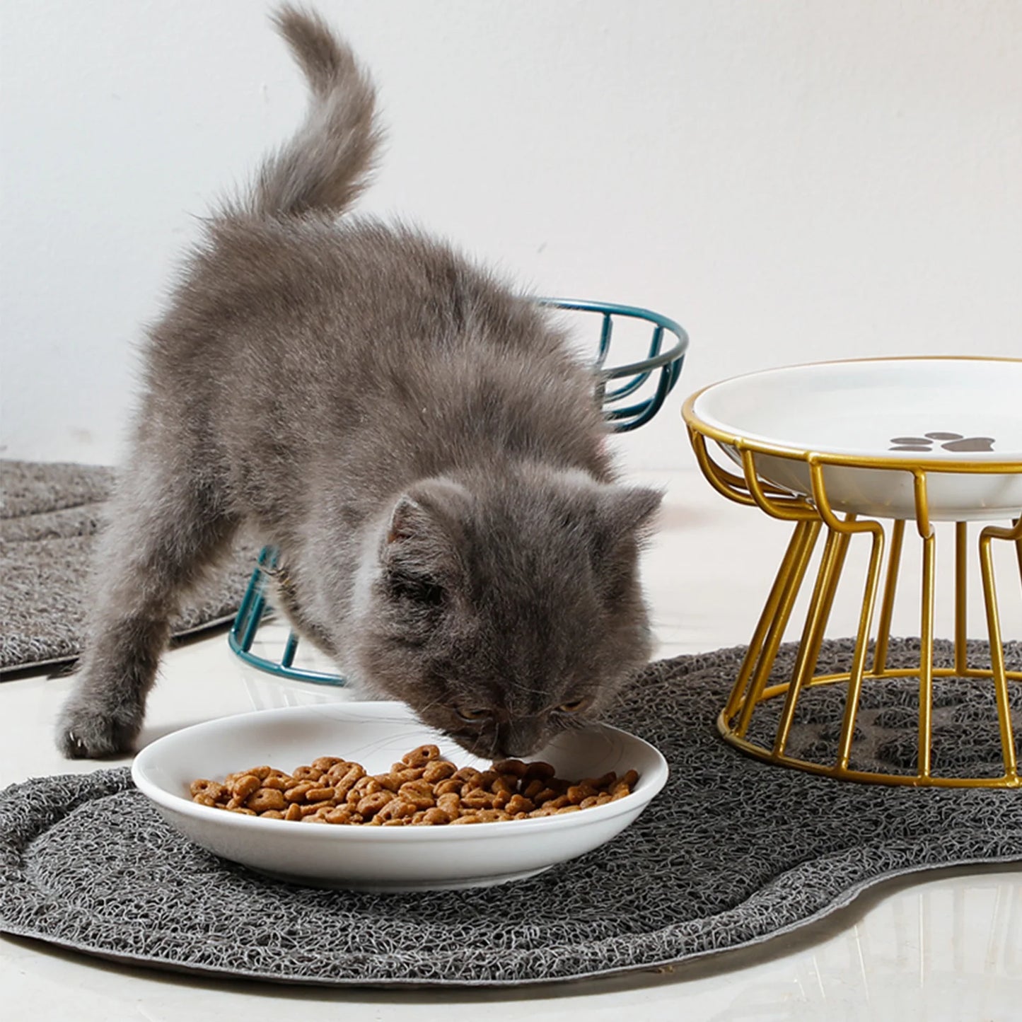 Double Cat Bowl with Stand
