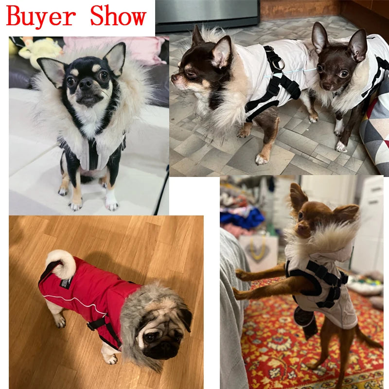 Winter Dog Jacket