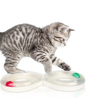 Cat Tunnel Funny Cat Fun