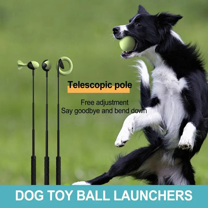 Dog Toys Throwing Pole Pet