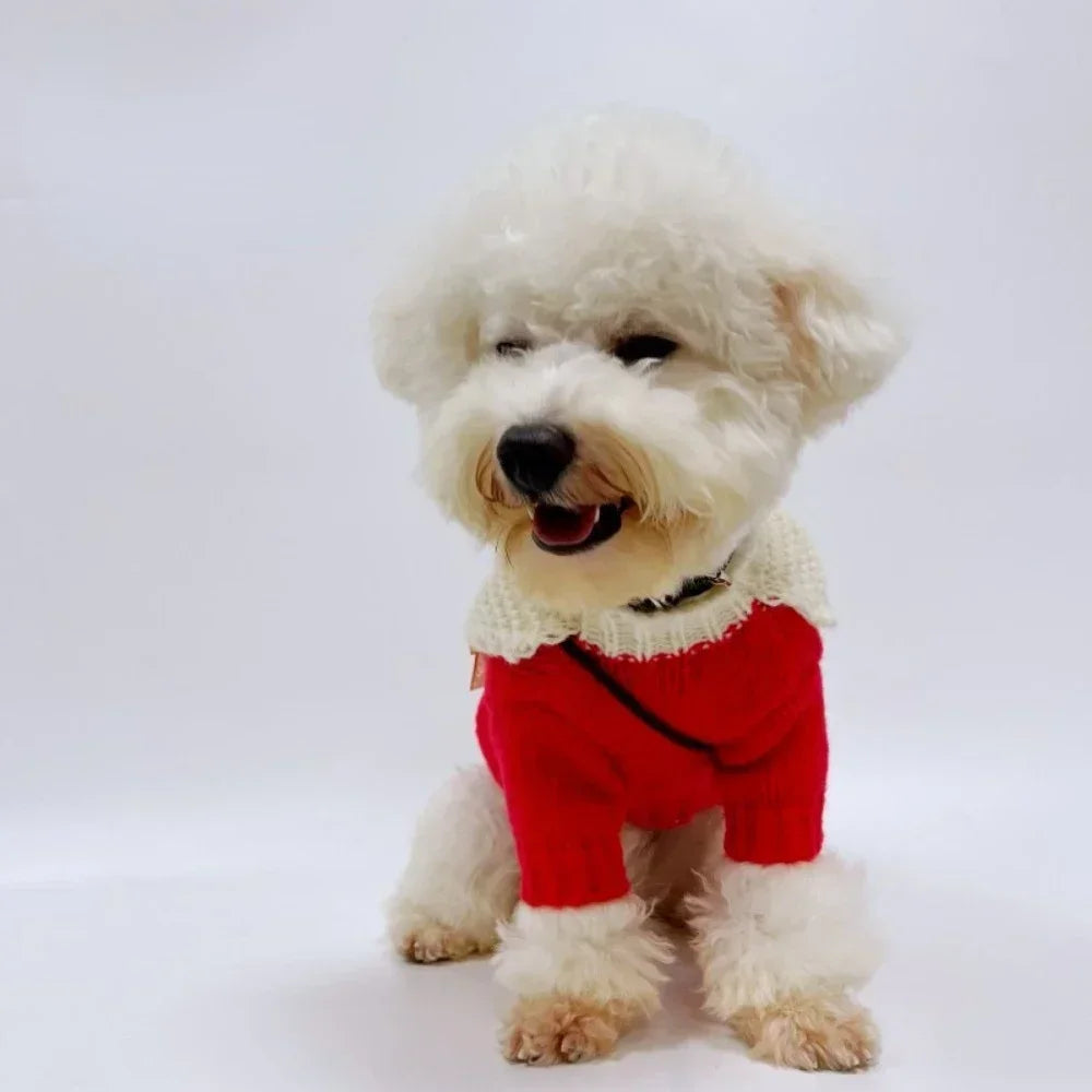 Pet Christmas Sweater Princess Skirt
