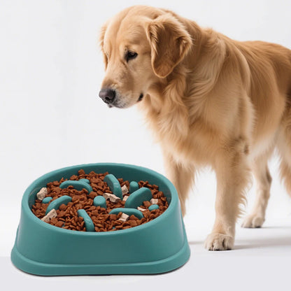 Slow Eating Feeders For Dogs