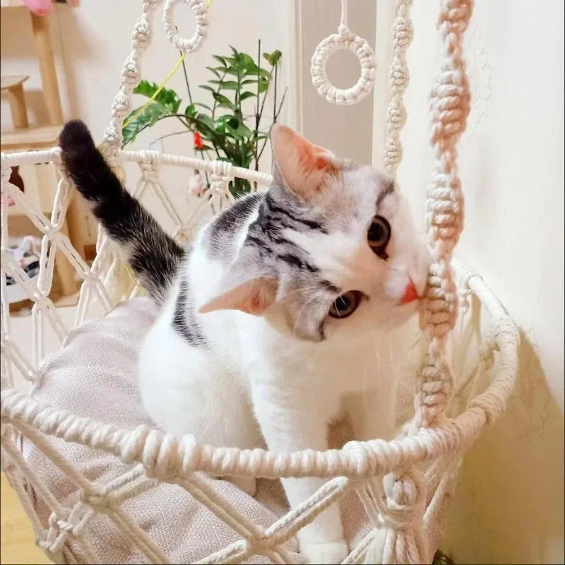 Pet Hammock Cat Swing Hand