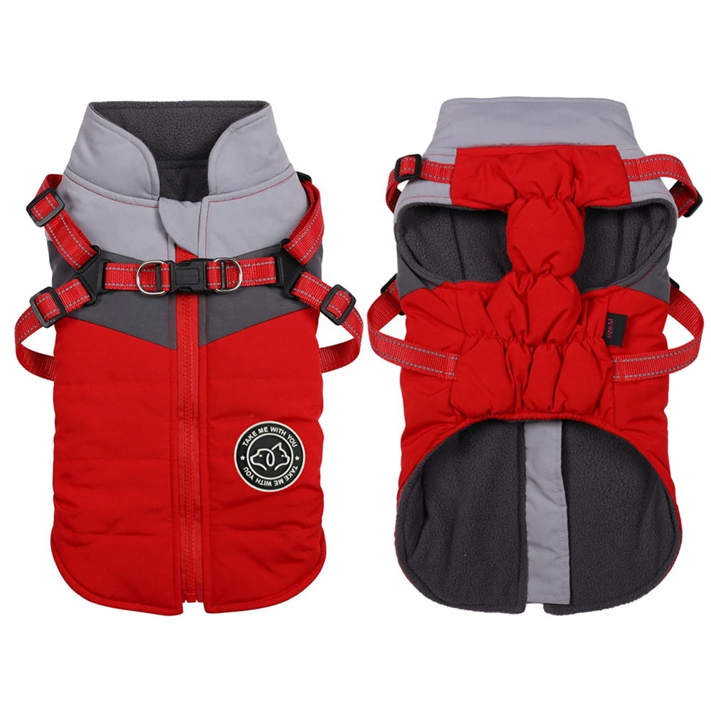 Winter Dog Jacket