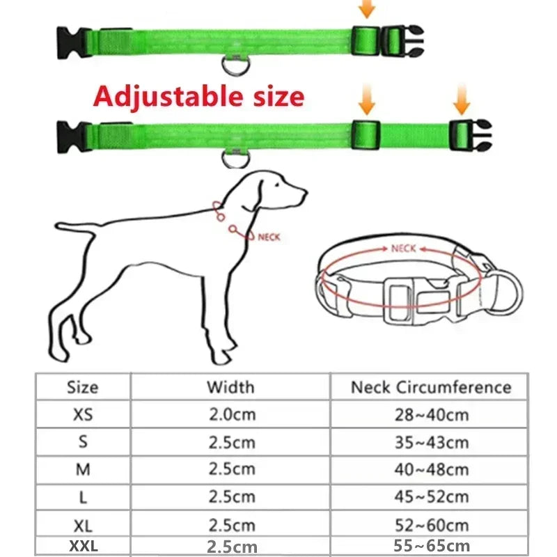 USB-Rechargeable LED Safety Collar