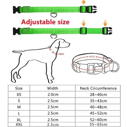 USB-Rechargeable LED Safety Collar