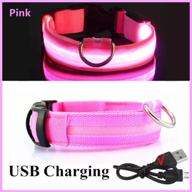 USB-Rechargeable LED Safety Collar