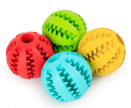 Durable Dog Chew Toy