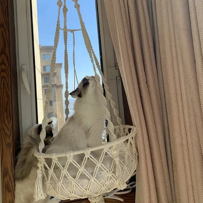 Pet Hammock Cat Swing Hand