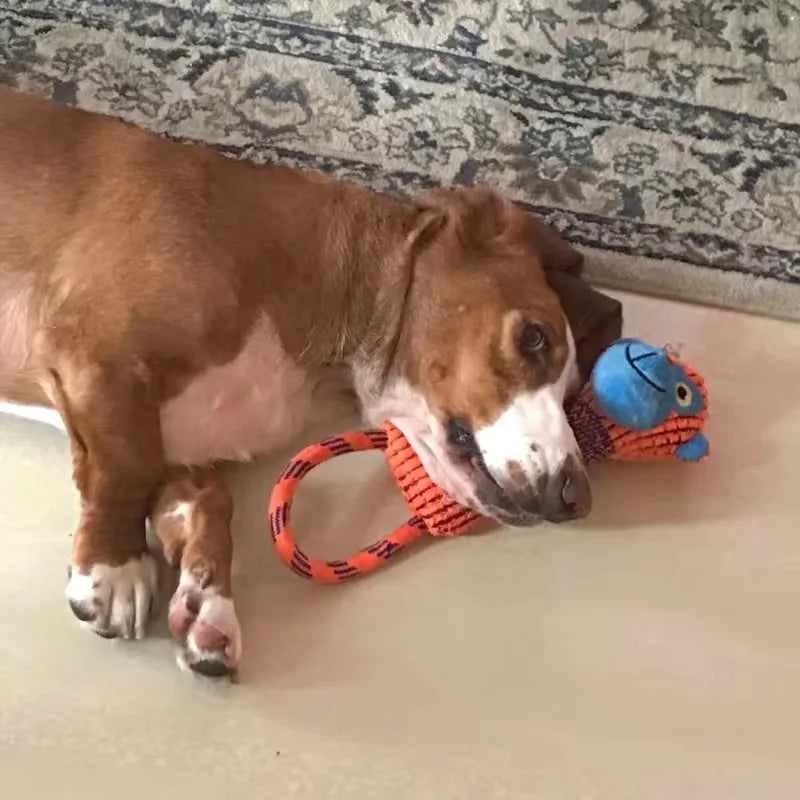 Dog Chew Toy with Handle