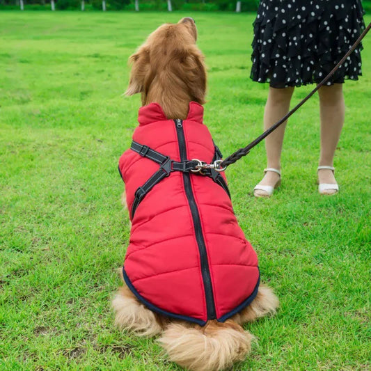 Winter Dog Jacket