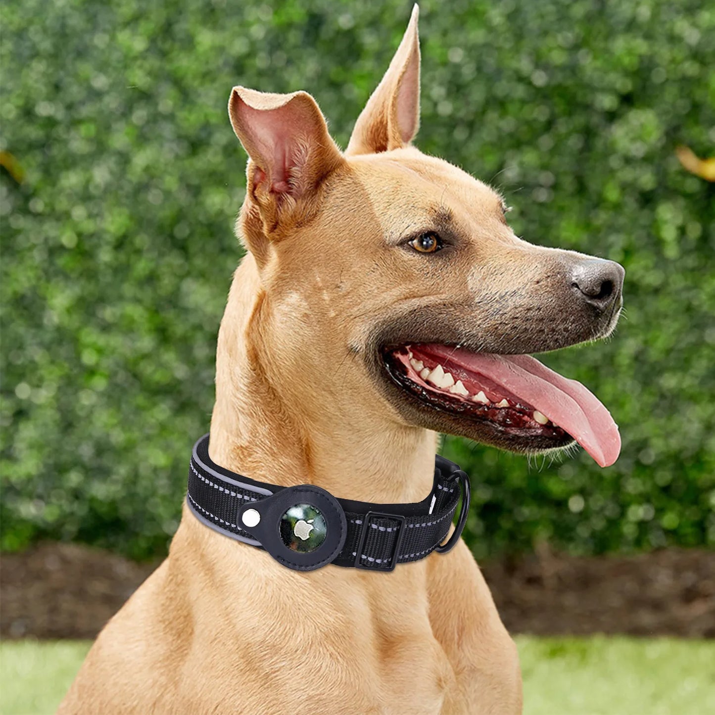 Airtag Dog Collar Tracker