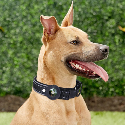 Airtag Dog Collar Tracker