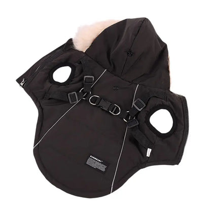 Winter Dog Jacket